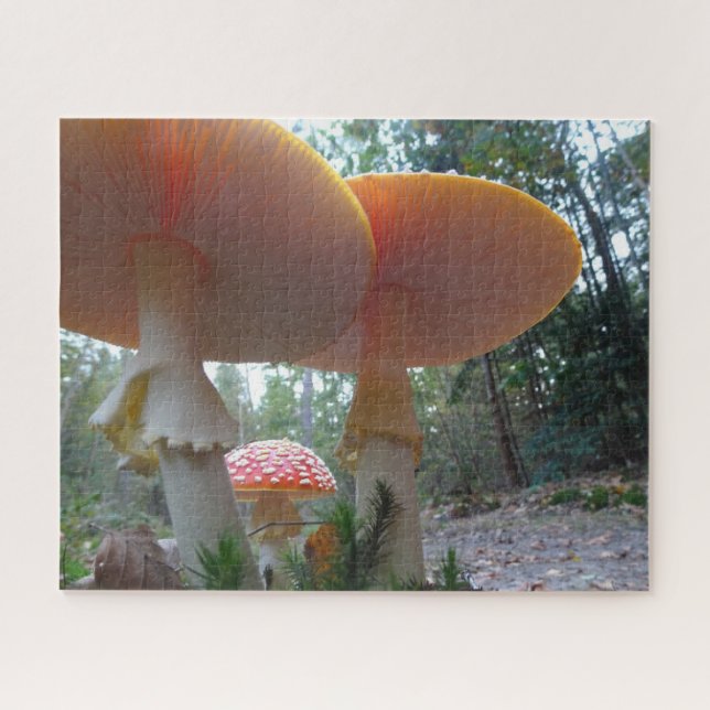 Puzzle paysager : Voler Amanitas dans Forrest (Horizontal)