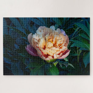 Puzzle Peach Peony - Photographie romantique à fleurs