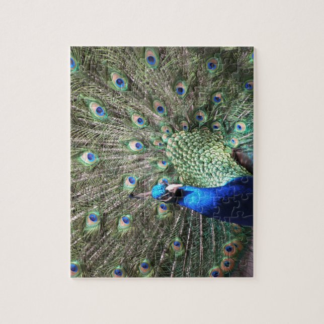 Puzzle Peacock (Vertical)