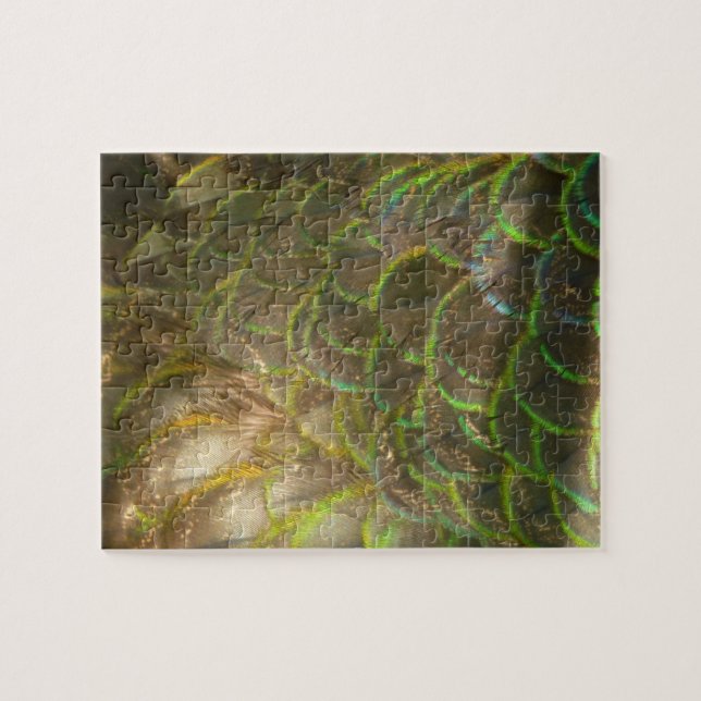 Puzzle Peacock Feathers III (Female) Subtil Nature Design (Horizontal)