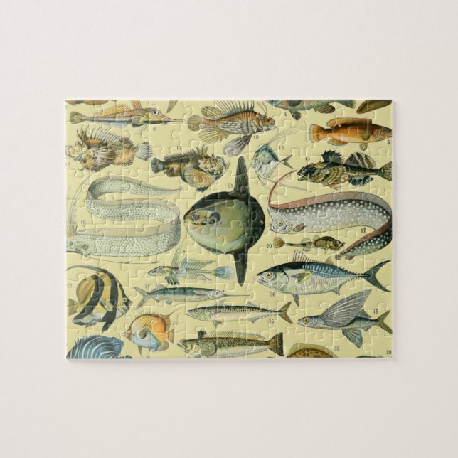 Puzzle Pêche scientifique vintage (Horizontal)