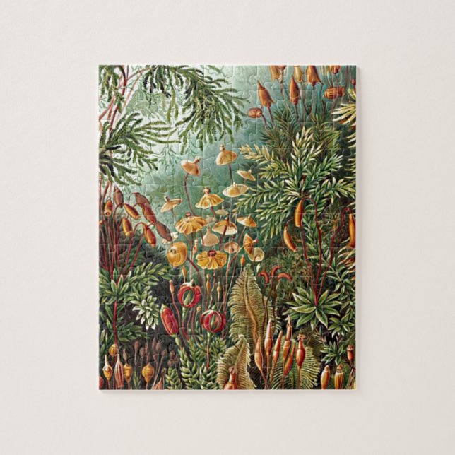 Puzzle Peinture de champignon d'herbe Haeckel Moss (Vertical)