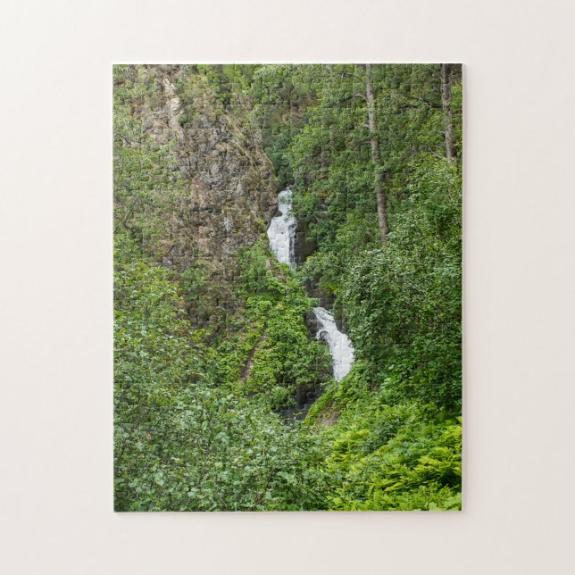 Puzzle Peinture de Thunderbird (Vertical)