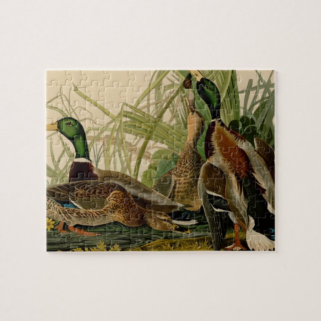Puzzle Peinture d'oiseaux de Mallard Duck Audubon (Horizontal)