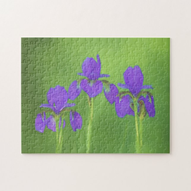 Puzzle Peinture Iris Violet - Art Fleur Originale (Horizontal)