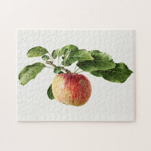 Puzzle Peinture vintage d'aquarelle de fruits de pomme