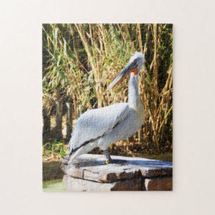 Puzzle Pélican