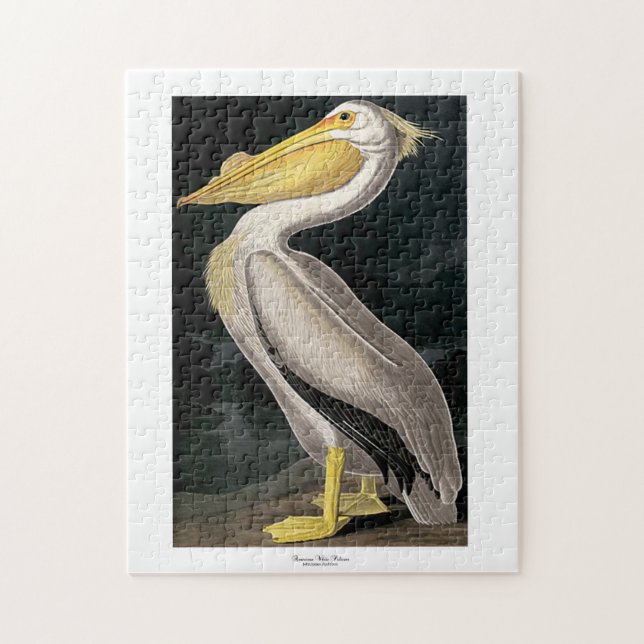 Puzzle Pélican blanc américain John James Audubon 11 x 14 (Vertical)