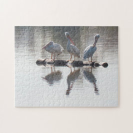 Puzzle - Pelikane und Reflektionen