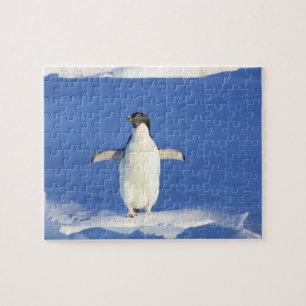 Puzzle Penguin