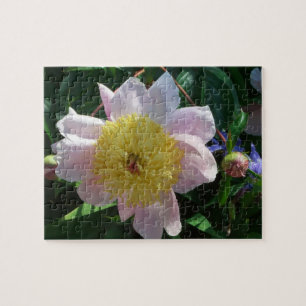Puzzle Peonies roses et jaunes Belle florale