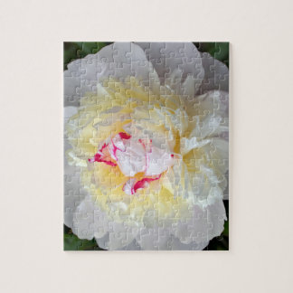 Puzzle Peony Passion