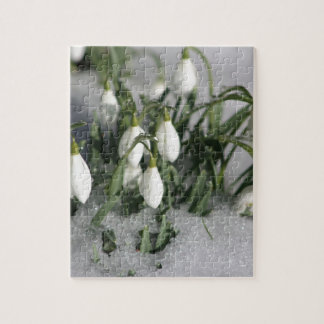 Puzzle Perce-neige