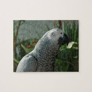 Puzzle Perroquet fini de gris africain