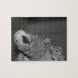 Puzzle Perroquet gris d'Afrique mignon oiseau