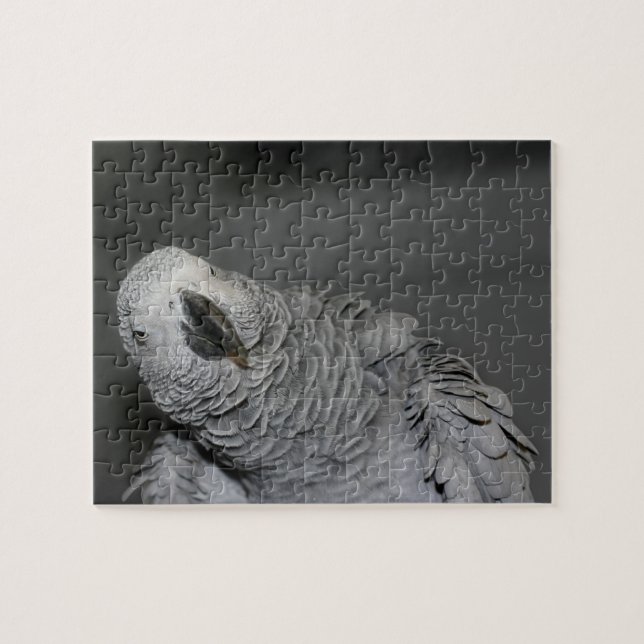 Puzzle Perroquet gris d'Afrique mignon oiseau (Horizontal)