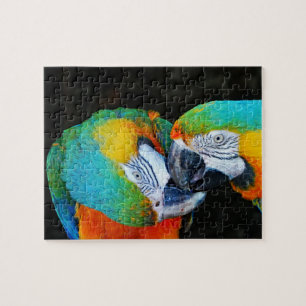 Puzzle Perroquets - Meilleurs amis