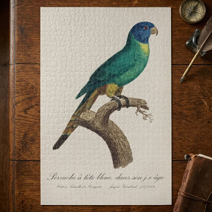 Puzzle Perruche a tete bleue / Rainbow lorikeet, juvénile