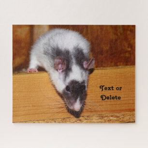 Puzzle Personalized Black and White Masked Pet Rat