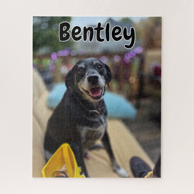 Puzzle Personalized Pet Photos Template (Vertical)