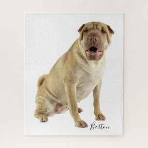 Puzzle Personalized Shar Pei Dog Photo
