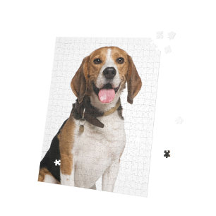 Puzzle personnalisé de photo de chien Beagle