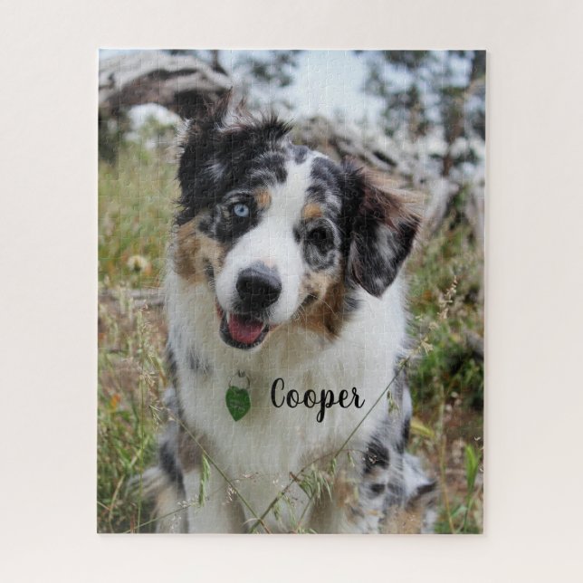 Puzzle Personnalisé Merle Australian Shepherd Puppy (Vertical)