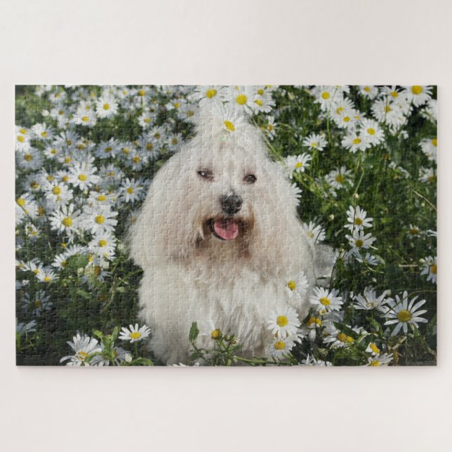 Puzzle Petit Chien blanc assis Jardin de fleurs blanches  (Horizontal)