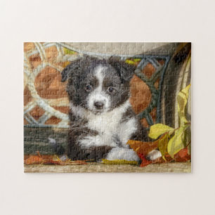 Puzzle Petit Chien-Chien-Chien-Chien-Chien-Chien-Chien-Ch
