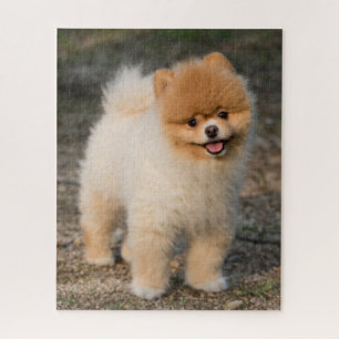 Puzzle Petit Chien roux roumain Brown