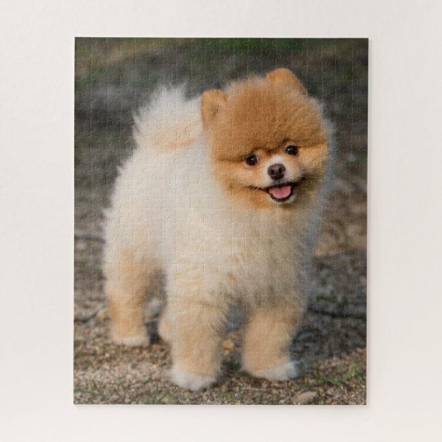 Puzzle Petit Chien roux roumain Brown (Vertical)