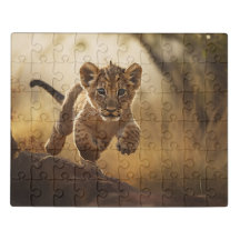 Petit Leaping Lion Cub Acrylique