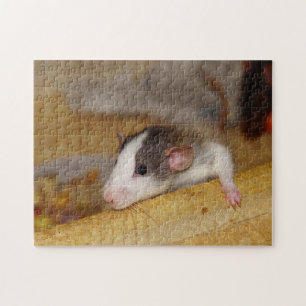 Puzzle Petit Rat