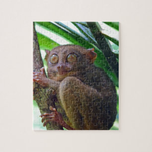 Puzzle Petit tarsier philippin