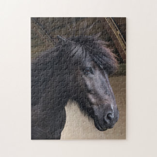 Puzzle Petit Viking Cheval Noble Tête Jigsaw