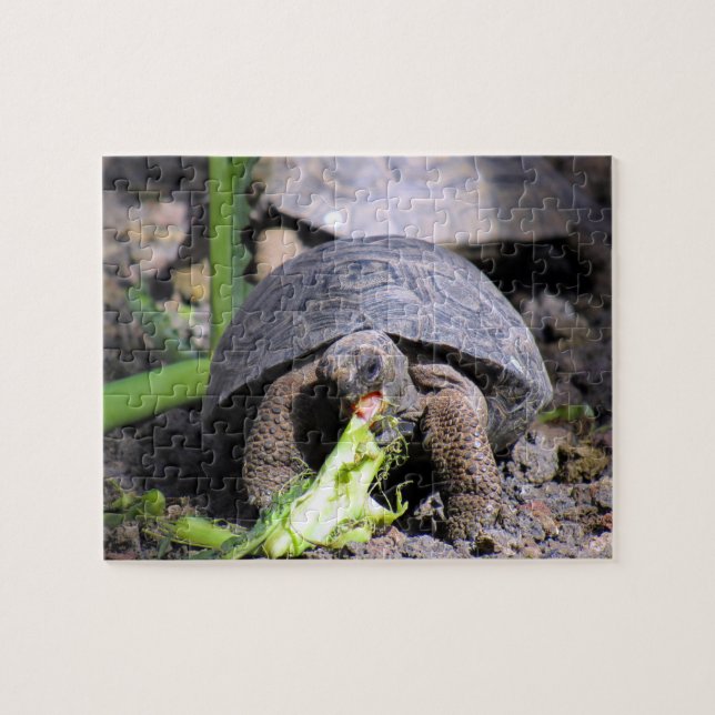 Puzzle petite galapagos tortue mangeant (Horizontal)