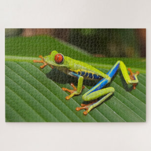 Puzzle Petite grenouille colorée