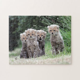 Puzzle Petits animaux de guépard