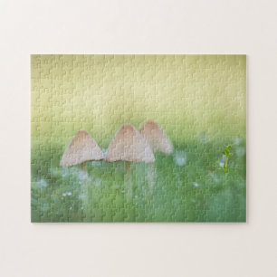Puzzle Petits champignons Photo nature