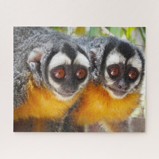 Puzzle Petits singes. (Horizontal)