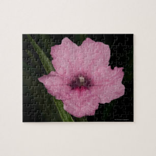 Puzzle Pétunia mexicain rose (Ruellia Brittoniana ou