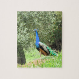 Puzzle - Pfau auf dem Hügel