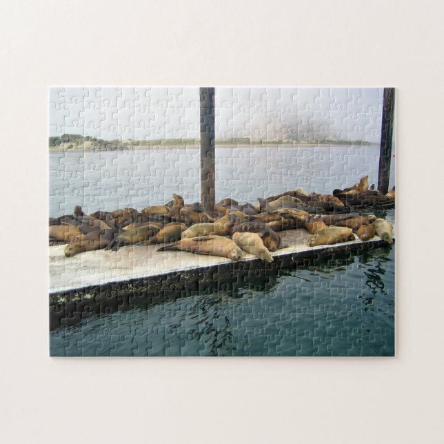 Puzzle Phoques du port, Morro Bay, Californie (Horizontal)