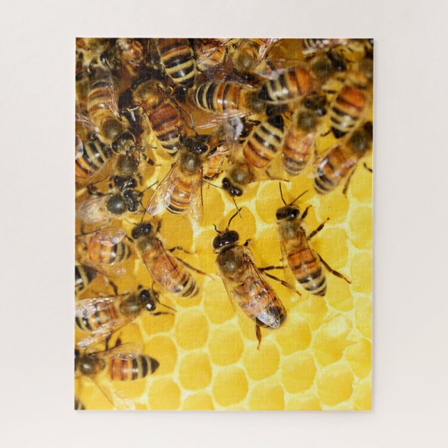 Puzzle photo Bee Hive Honey Bees (Vertical)