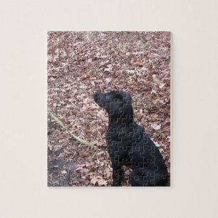 Puzzle Photo Black Dog