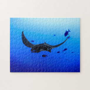 Puzzle photo Black Manta Sting Ray