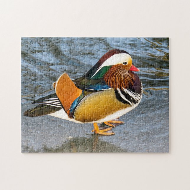 Puzzle photo couleur mandarin canard (Horizontal)