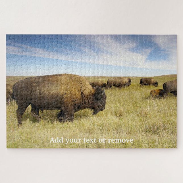 Puzzle Photo de bison nord-américain dans les plaines, (Horizontal)
