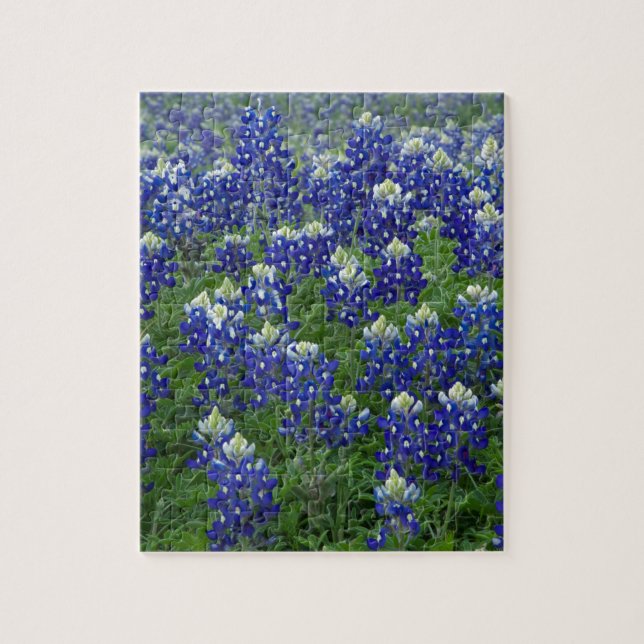 Puzzle Photo de champ de Bluebonnets de Texas (Vertical)