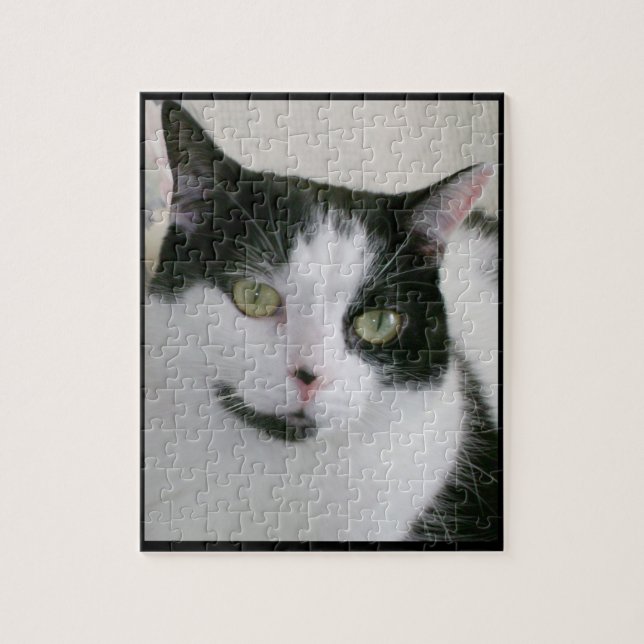 Puzzle Photo de chat noir blanc mignon (Vertical)